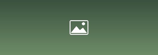 socialmedia-trans-wiki
