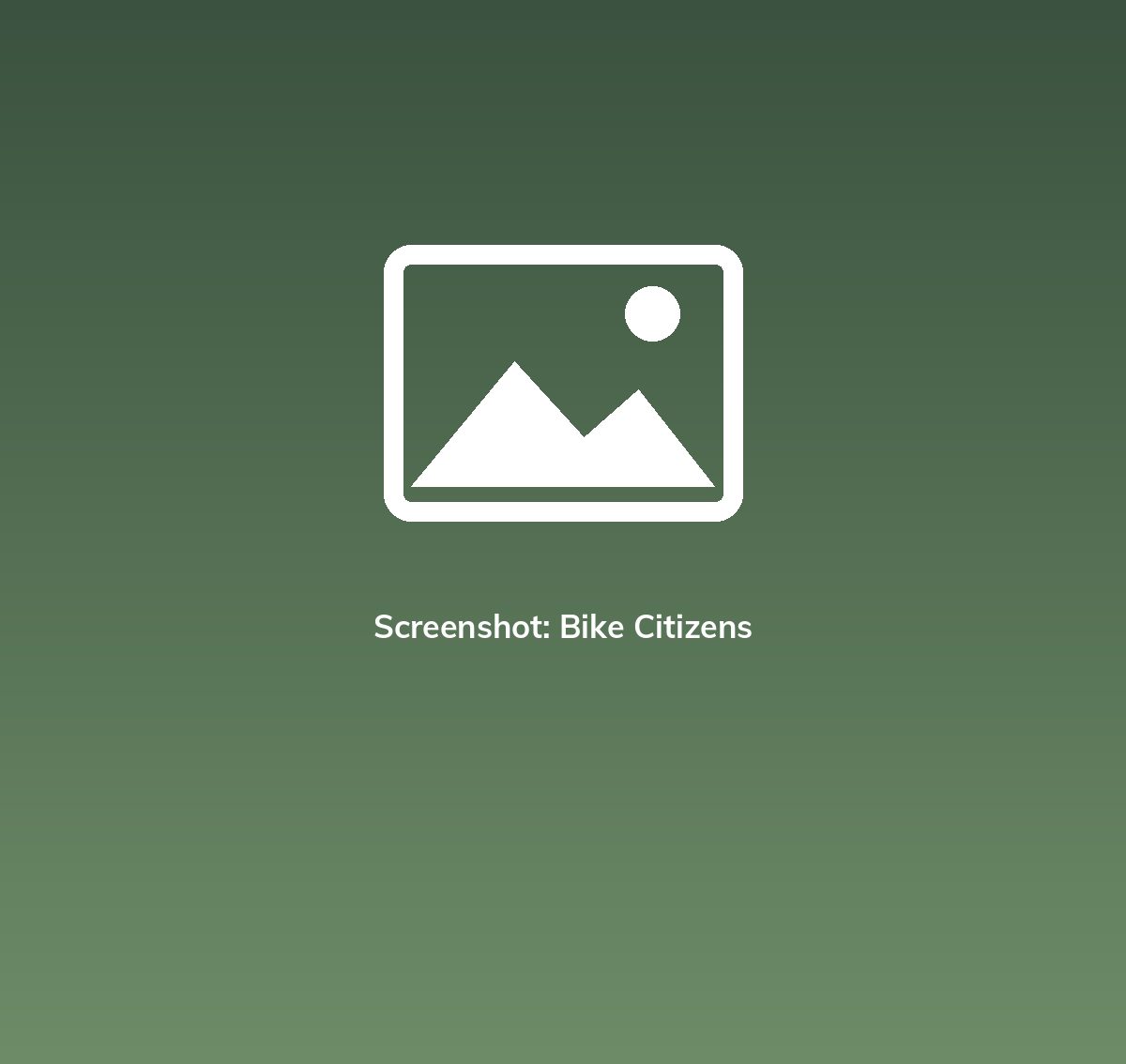 Screenshot: Bike Citizens